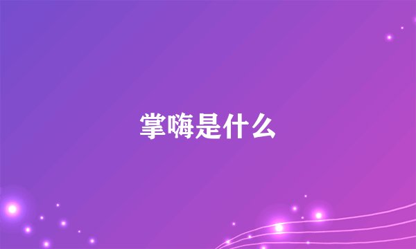 掌嗨是什么