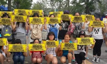 什么叫做饭圈女孩？