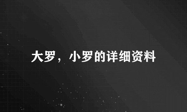 大罗，小罗的详细资料