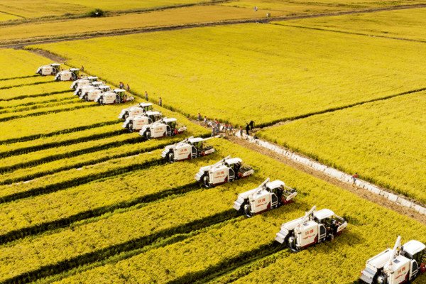 三农是指的哪三农