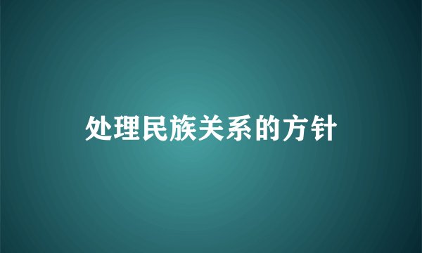 处理民族关系的方针