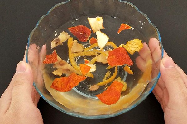 橘子皮泡水浇花有什么好处和坏处