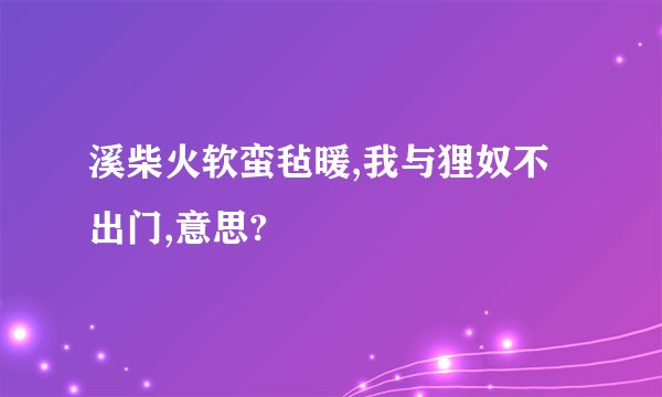 溪柴火软蛮毡暖,我与狸奴不出门,意思?