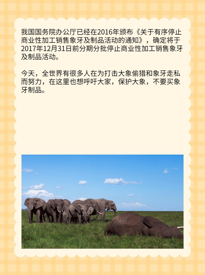 大象墓地是真的吗