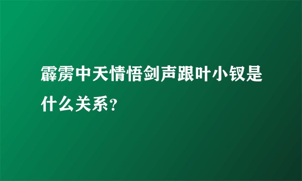 霹雳中天情悟剑声跟叶小钗是什么关系？