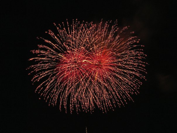 新年伊始万象更新什么意思