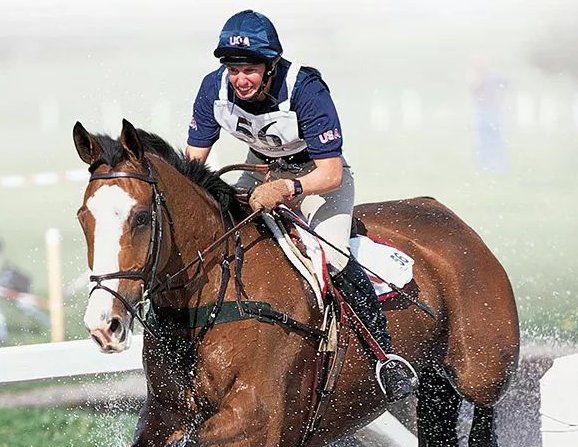 一般一匹马多少钱?怎么买呢?