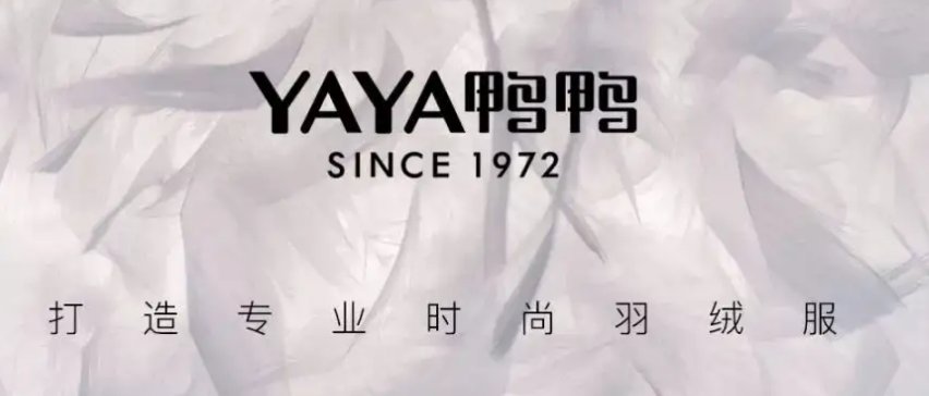 国产羽绒服十大名牌排名有哪些