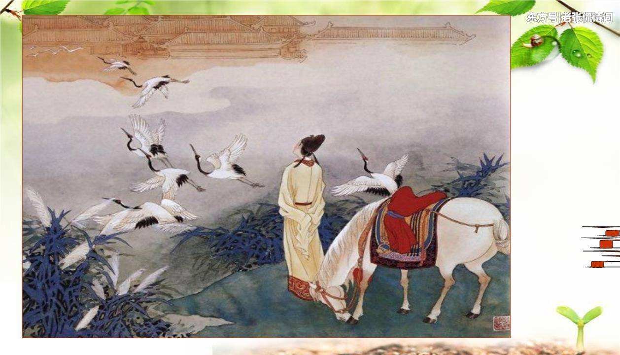 衣带渐宽是什么意思