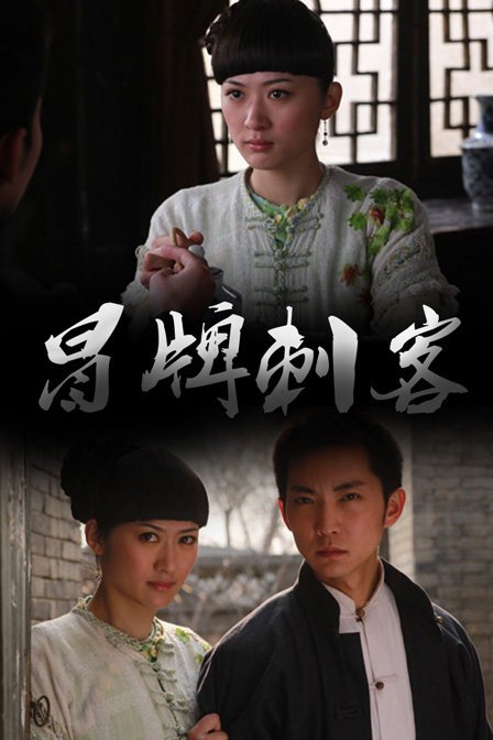 冒牌刺客的剧情简介