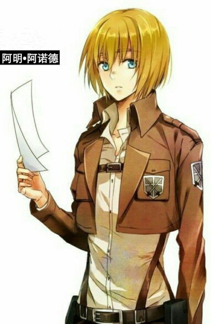 阿明·阿诺德的兵历