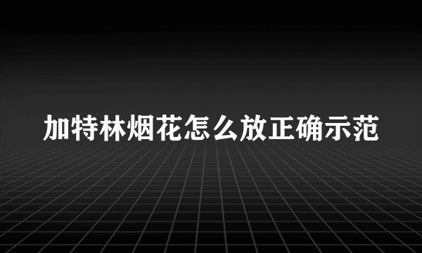 加特林烟花怎么放正确示范
