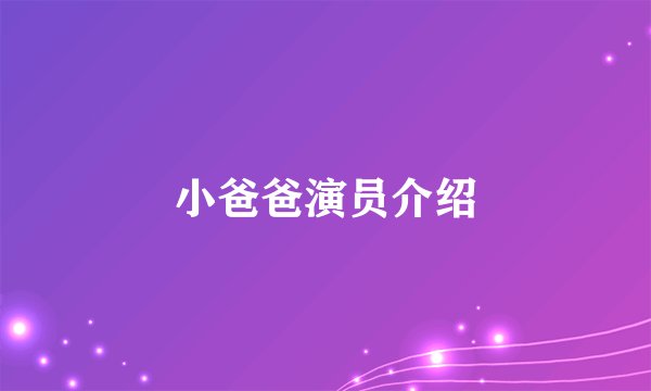 小爸爸演员介绍