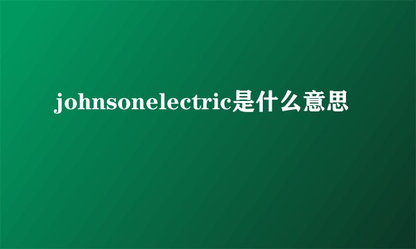 johnsonelectric是什么意思