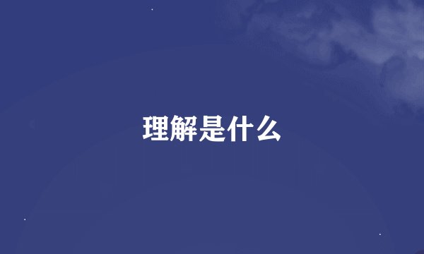 理解是什么