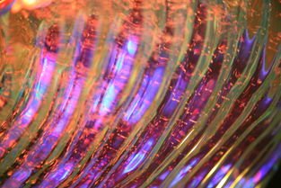 宏观世界五光十色，微观世界是否同样绚丽多彩？