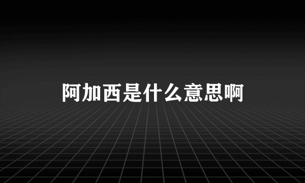 阿加西是什么意思啊