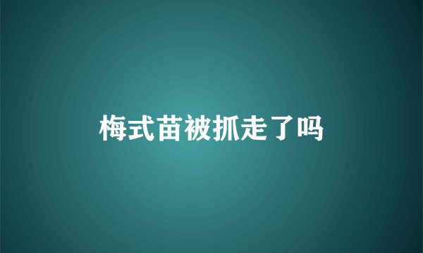 梅式苗被抓走了吗