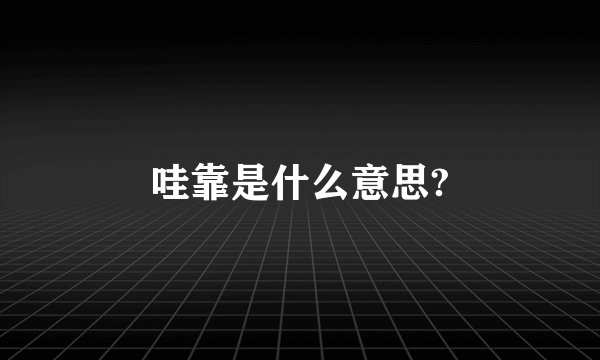 哇靠是什么意思?