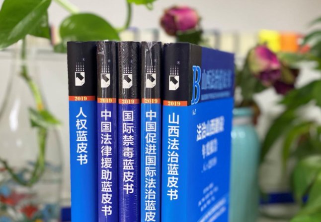 蓝皮书是啥意思