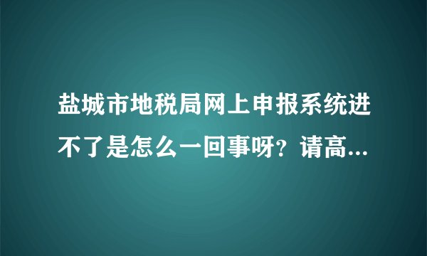 盐城市地税局网上申报系统进不了是怎么一回事呀？请高手指教！
