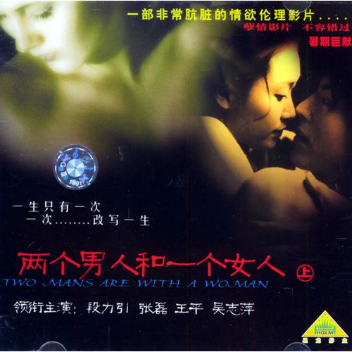 段力引的违法事件