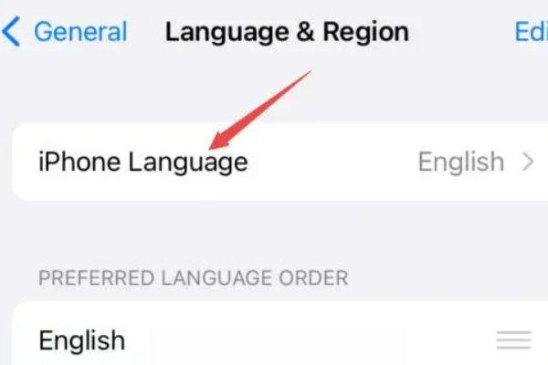 苹果手机怎么调回中文模式