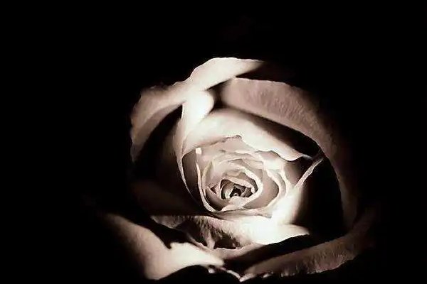 志哀和致哀有何区别