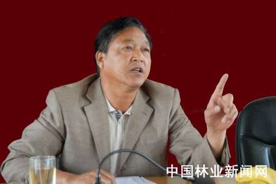 王德林的人生履历