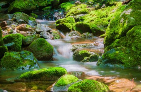 本溪有什么好玩的地方景点