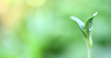 生命质量论强调什么至高无上