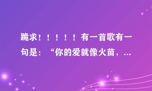 跪求！！！！！有一首歌有一句是：“你的爱就像火苗，把我的心燃烧”这首歌叫什么名？