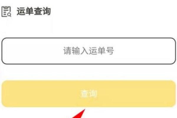 丰网速运怎么查物流