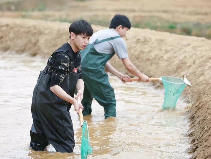 《向往的生活5》,播出时间是每周几?