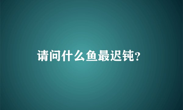 请问什么鱼最迟钝？