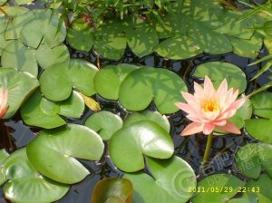 何稠的轶事典故