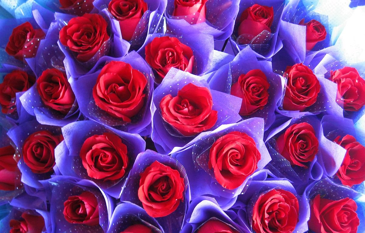 七夕节给女朋友送什么礼物好?