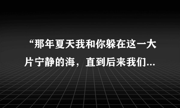 “那年夏天我和你躲在这一大片宁静的海，直到后来我们都还在对这个世界充满期待”哪首歌