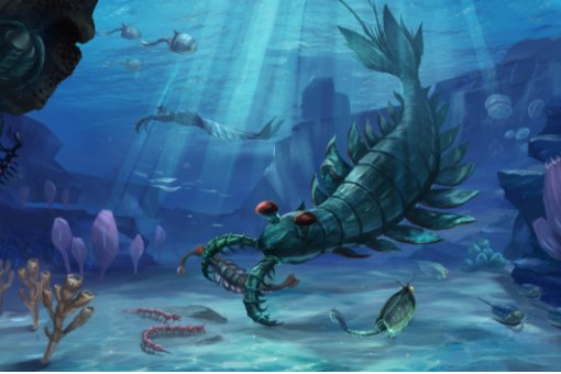 寒武纪的代号么读?