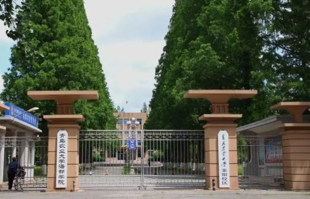 青岛农业大学海都学院好不好