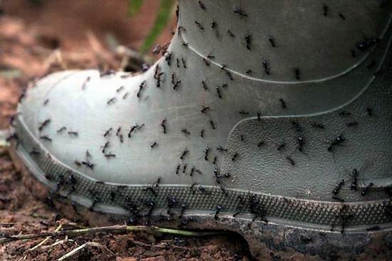 围困城堡的介绍