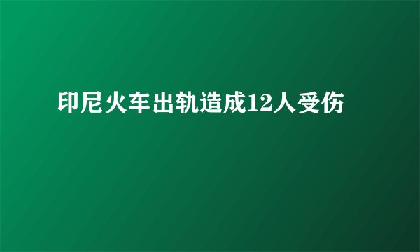 印尼火车出轨造成12人受伤