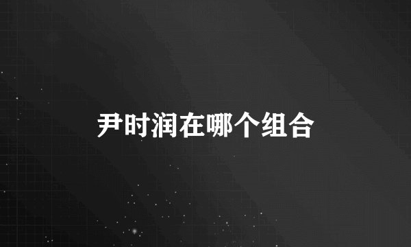 尹时润在哪个组合