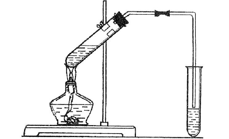 乙酸乙酯分别发生酸性水解和碱性水解的化学方程式
