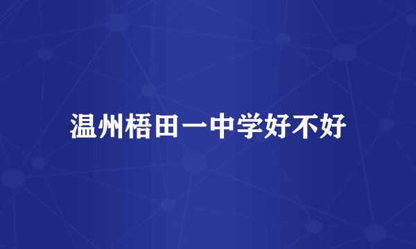 温州梧田一中学好不好