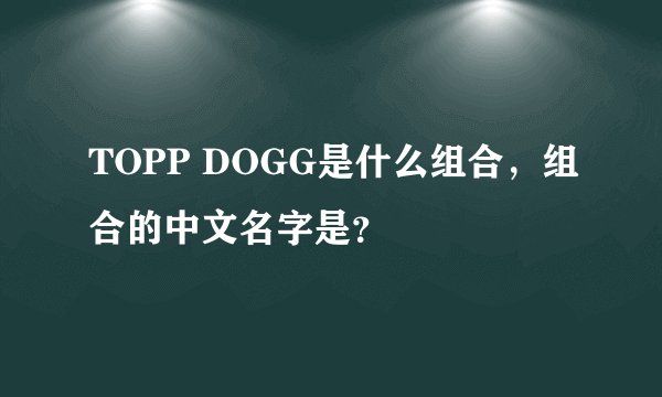 TOPP DOGG是什么组合，组合的中文名字是？