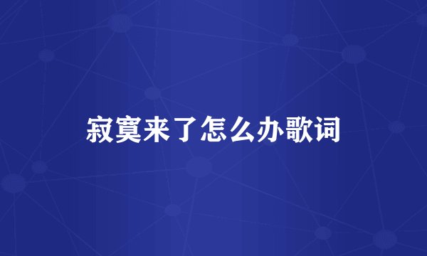 寂寞来了怎么办歌词
