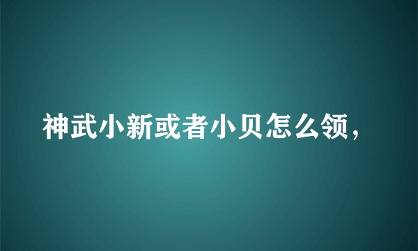 神武小新或者小贝怎么领，