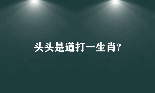 头头是道打一生肖?
