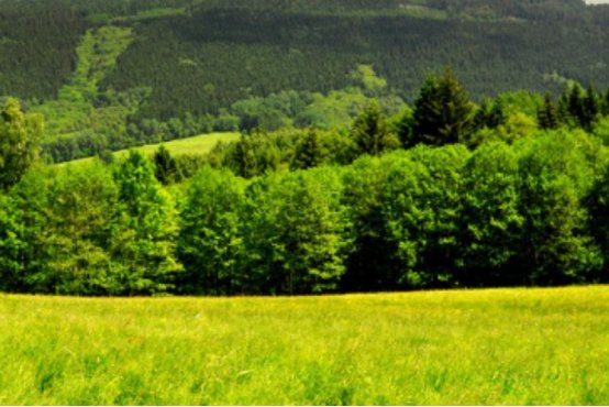 用风景如画写句子